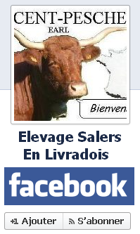 Discover the VINCENT-PESCHER's Salers Breeding on Facebook !