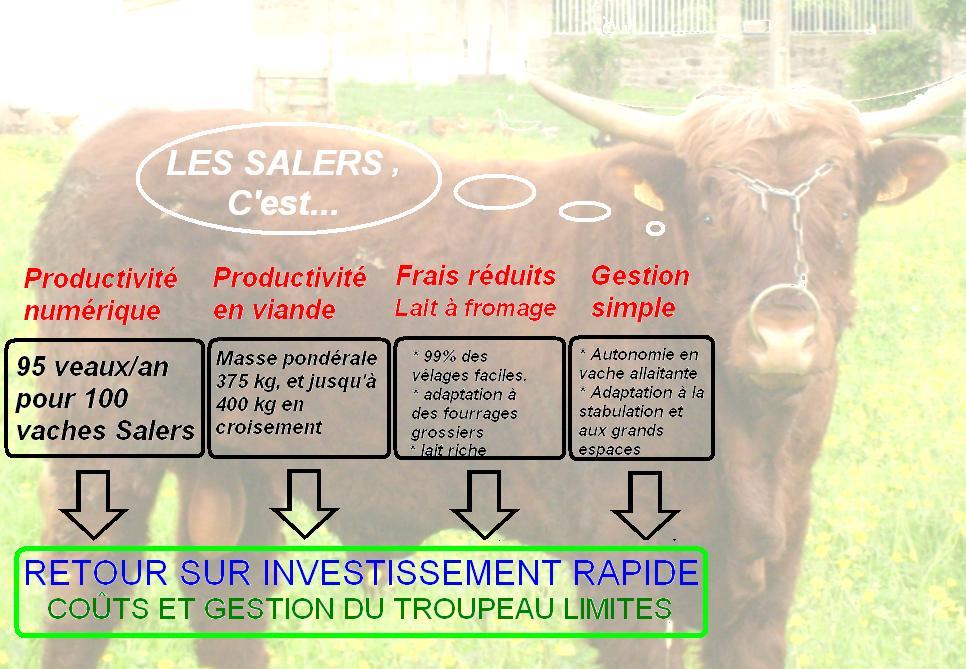Les Salers : de grands atouts
